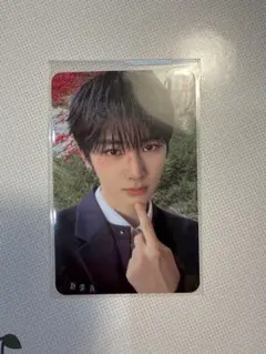 ald1 euphoria ジュエルケース トレカ アンシン