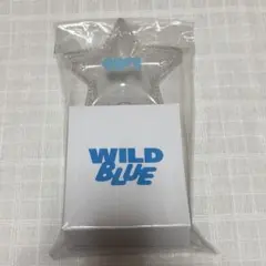 2026年最新】wildblue ペンライトの人気アイテム - メルカリ
