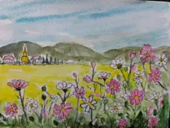 水彩画 　コスモス　チェンマイ　SHO