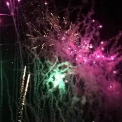 むっくさん様専用