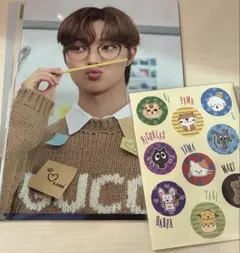 &TEAM シーグリ2024 カード　シール付き