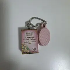 ハワイのおみやげミニチュアコレクション アイランドソープ＆キャンドルワークス