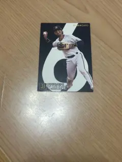 2004年 カルビー プロ野球チップスカード