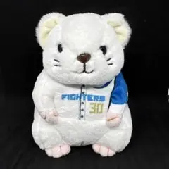 2026年最新】ファイターズくじの人気アイテム - メルカリ