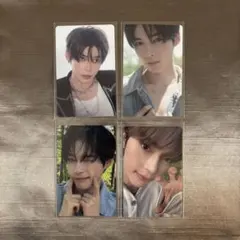 ZB1 ハンビン neversaynever ラキドロ トレカ セット