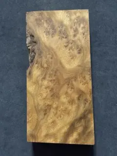 Item thumbnail for item 776a1b63-b9c1-40a5-ba7c-26b2d6db5c1c