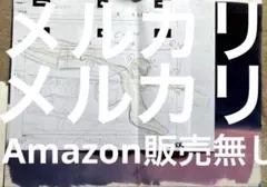 からくりサーカス 直筆サイン入り複製原画 しろがね - メルカリ