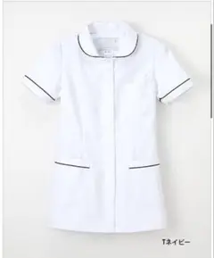 Item thumbnail for item 1b50cfe8-6868-4604-b117-4295872330fd