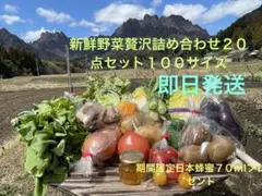 新鮮野菜贅沢詰め合わせ２０点セット期間限定日本蜂蜜７０mlプレゼント１００サイズのサムネイル