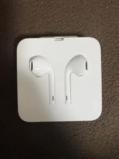 イヤホン　ライトニング　Lightning 有線