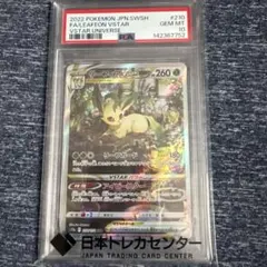 2026年最新】リーフィアvstar sar psa10の人気アイテム - メルカリ