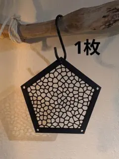 ビカクシダ 板付用 2枚セット 着床板 ハニカム型 コウモリラン 着生材
