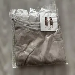 Item thumbnail for item 4f701a78-d146-4fa4-a12e-230a6b6b7dd0