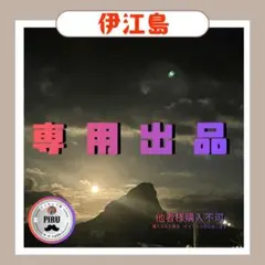 【専用出品物】500g 伊江島産 島らっきょう 農家直送 送料込み