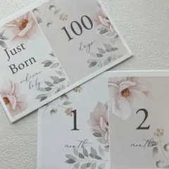 Item thumbnail for item d8f3d3f1-ba04-4d57-877c-fa6e7d114151