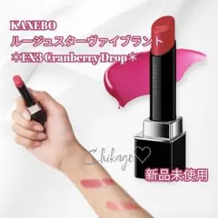 新品＊KANEBO／ルージュスターヴァイブラント＊EX3