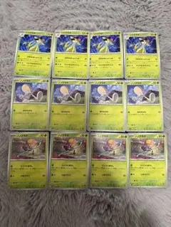 リククラゲ　ノノクラゲ　まとめ売りセット