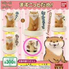 2026年最新】可愛い嘘のカワウソ ガチャガチャの人気アイテム - メルカリ