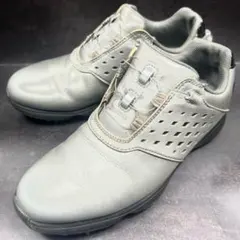 footjoy フットジョイ eコンフォート BOA ゴルフシューズ シルバー