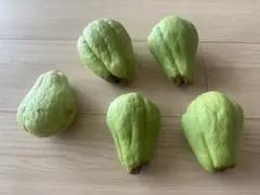 2026年最新】ハヤトウリの人気アイテム - メルカリ