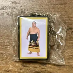 大相撲　若隆景　明け荷キーホルダー