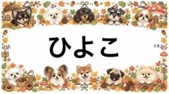 専用