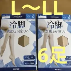 GUNZE COOLMAGIC クールタイプ ストッキング L-LL 冷脚