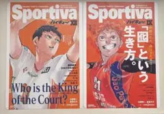2025年最新】SPORTIVA ハイキュー ビジュアルボードの人気