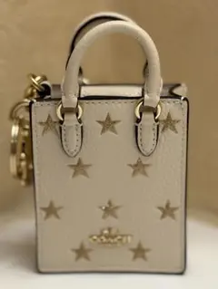 【最大値下げ】COACH ノースサウス トート バッグチャーム