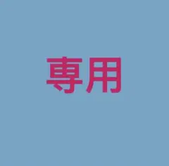 minchan様 リクエスト 2点 まとめ商品