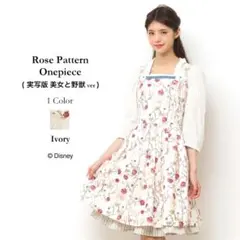 新品未使用紙タグ付き ディズニー公式 実写 美女と野獣 ベル ワンピース セット 新品未使用紙タグ付き ディズニー公式 実写 美女と野獣 ベル