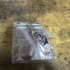 FRUITS ZIPPER 松本かれん アクリルキーホルダー （N）生誕祭