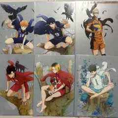 ハイキュー!! TO THE TOP クリアファイル Ver.2.0 6枚