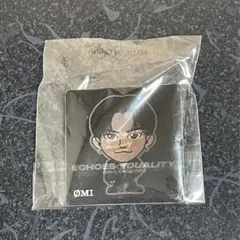 登坂広臣 ØMI ピンバッジ