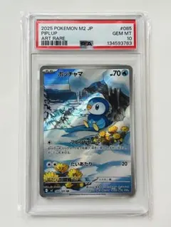 PSA10 ポッチャマ　ARのサムネイル