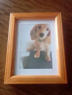 木製写真立て ( フォトフレーム )