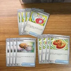 むしとりセット　せいなるはい　なかよしポフィン