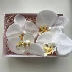 髪飾り　和装　胡蝶蘭