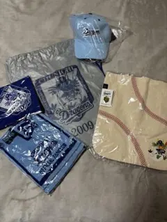 中日ドラゴンズ 2009年 公式ファンクラブ記念セット