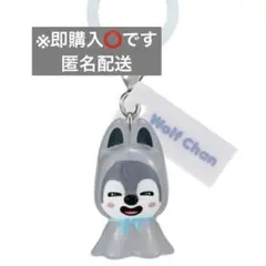 ※即購入⭕️【Stray Kids】SKZOO めじるしアクセサリー ウルフチャン