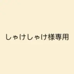 しゃけしゃけ様 リクエスト 2点 まとめ商品