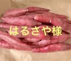 はるさや様　専用