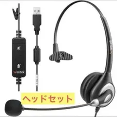 ✨残り1点✨ ヘッドセットUSB 片耳 ノイズキャンセリングマイク付き