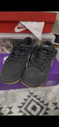 Nike SB Dunk Low Pro 