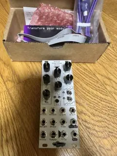 Noise Engineering | Manis Iteritas - メルカリ
