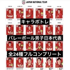 ◯キャラポトレ バレーボール男子日本代表 全24種フルコンプリート 