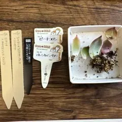 2026年最新】中里リンゼアナの人気アイテム - メルカリ