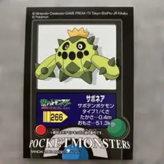 ポケモンキッズ　シール　サボネア