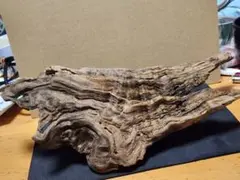 Item thumbnail for item 9292dd45-fb4a-4d89-aa26-86be89980b35