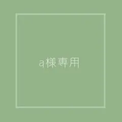 専用②